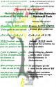 Affiche - Grand rassemblement estival de la CAFS
