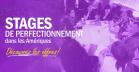 Affiche - Stages de perfectionnement