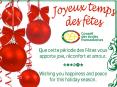 Affiche - voeux CEF 2015