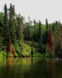 Photo - kayak prince albert national park