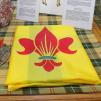 Photo - Proclamation [i Rendez-vous de la francophonie 2009] - Drapeau fransaskois, symbole de la Saskatchewan